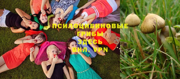 амфетамин Алексеевка