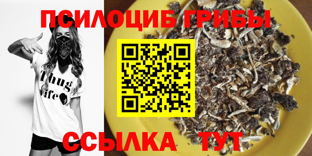 Алушта  купить наркотики цена  Вход с VPN  Галлюциногенные грибы Cubensis 