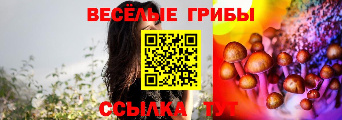 Псилоцибиновые грибы Psilocybine cubensis Алушта