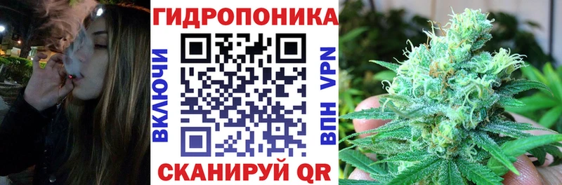 Шишки марихуана план OMG ссылки Алушта наркотики